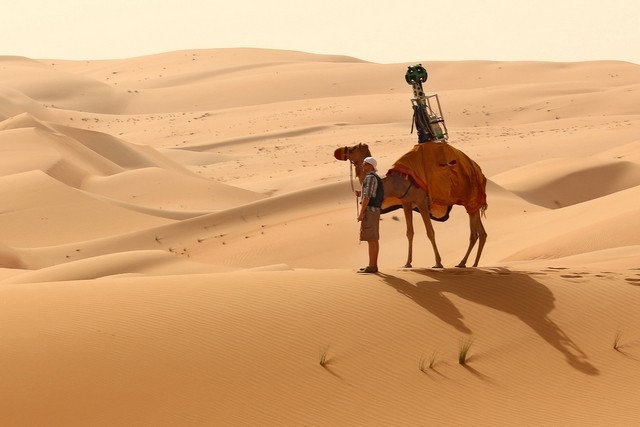 Camel CAM